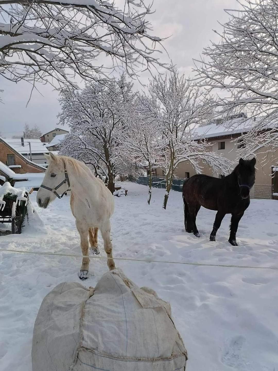 Pezion Limbovy Dvor Hotel Ménhárd Kültér fotó